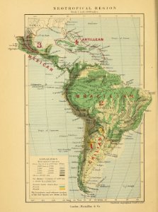 Distribution of Animals - Neotropical Region photo