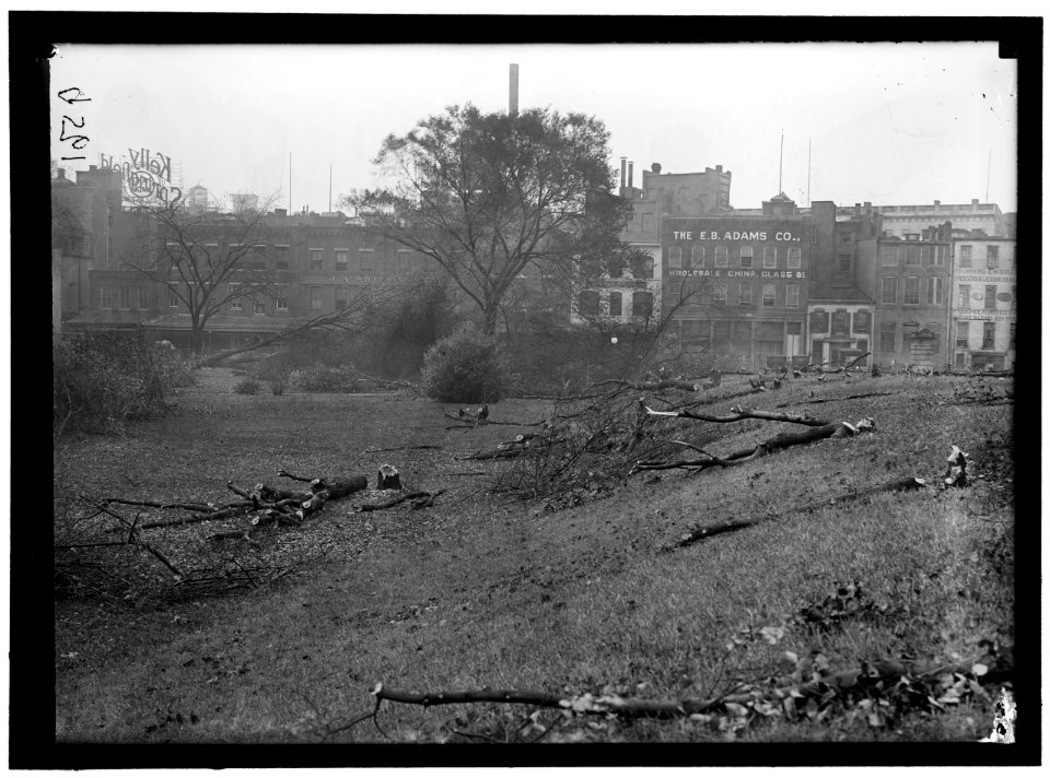 DISTRICT OF COLUMBIA PARKS. CUTTING TREES ON MALL SITES FOR WAR BUILDINGS LCCN2016868466