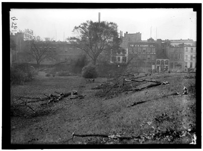 DISTRICT OF COLUMBIA PARKS. CUTTING TREES ON MALL SITES FOR WAR BUILDINGS LCCN2016868466