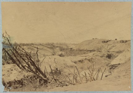 Ditch and abattis (i.e. abatis) in front of Fort Sedgewick (i.e. Sedgwick) LCCN2012646268