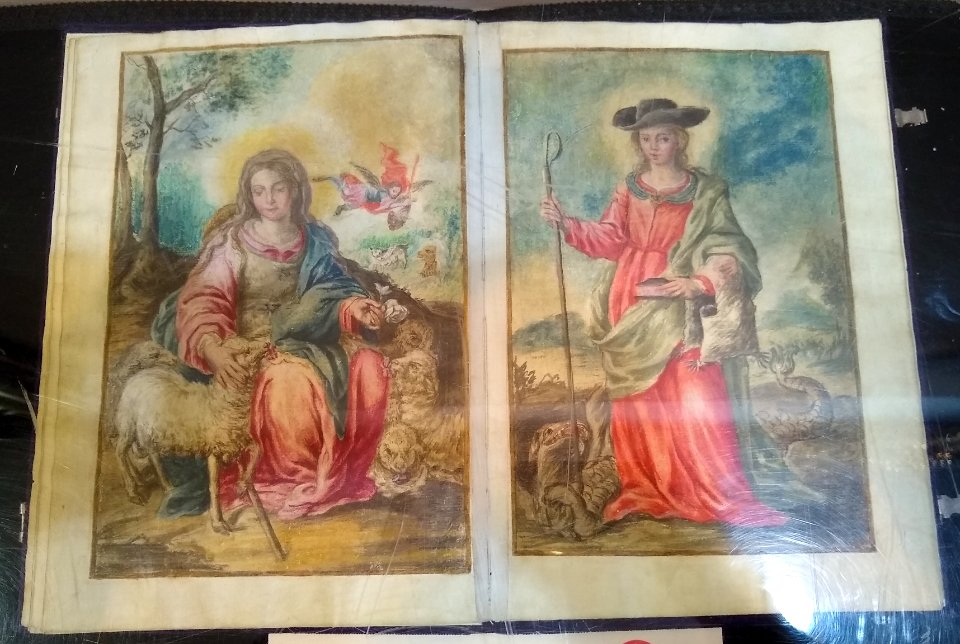 Divina Pastora (Tovar)