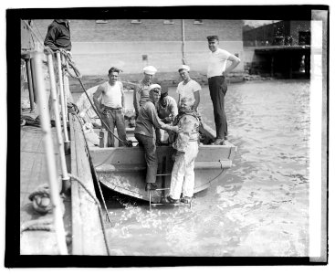 Diving LOC npcc.03774