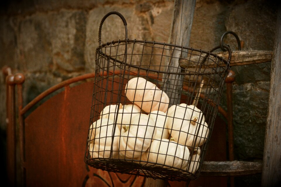 Basket autumn storage
