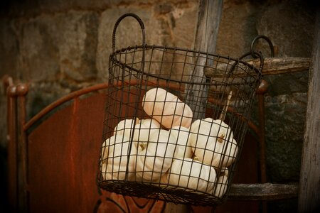 Basket autumn storage photo