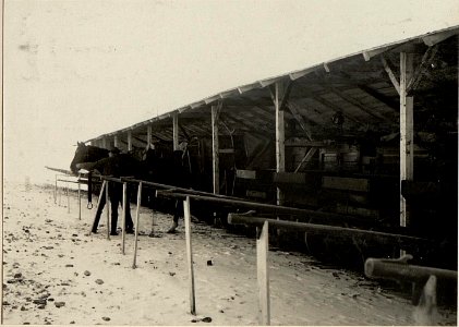 Divisions-Sanitätsanstalt Tarvis. Baracken für den Trainpark. (BildID 15470679)
