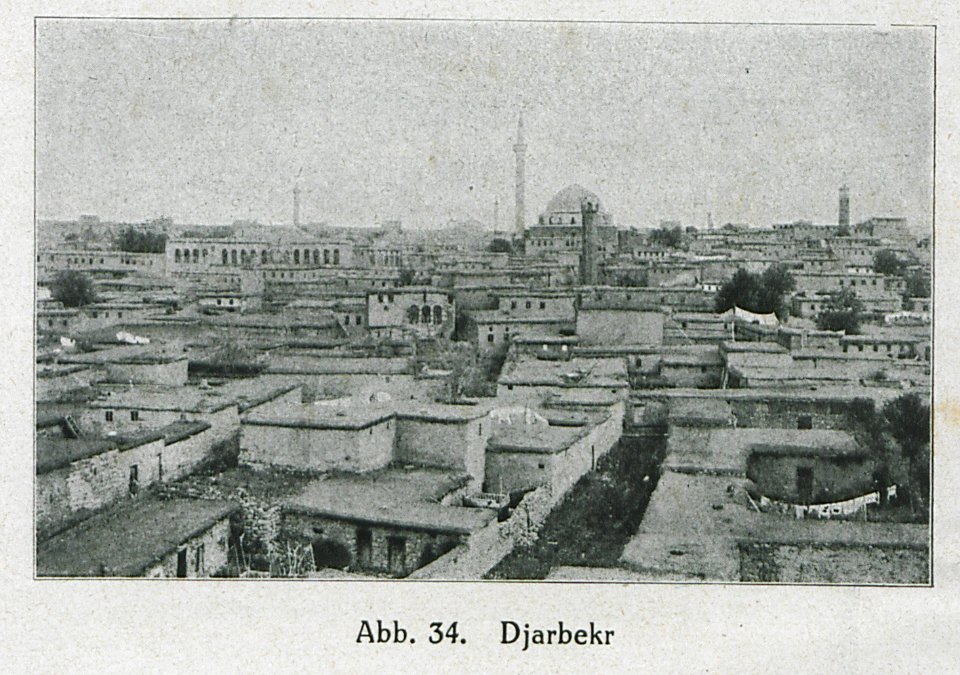 Djarbekr - Banse Ewald - 1919