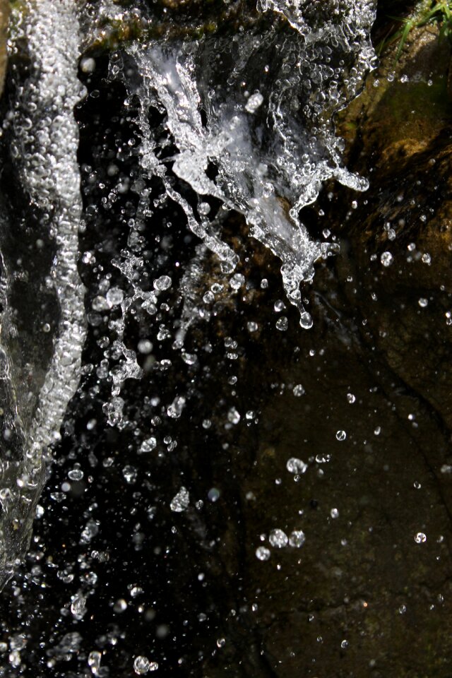 Bubble water drop wet photo