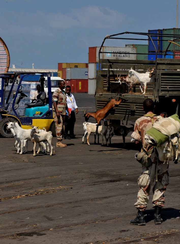 Djibouti Port Both Busy and Strategic DVIDS218263