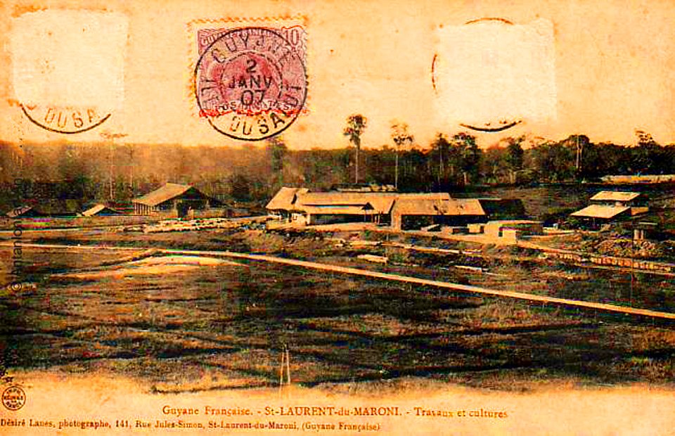 DL Champs près de Saint-Laurent-du-Maroni