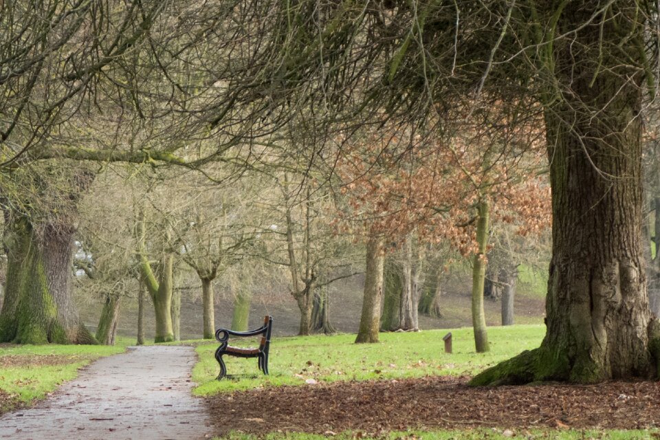 Season wood footpath