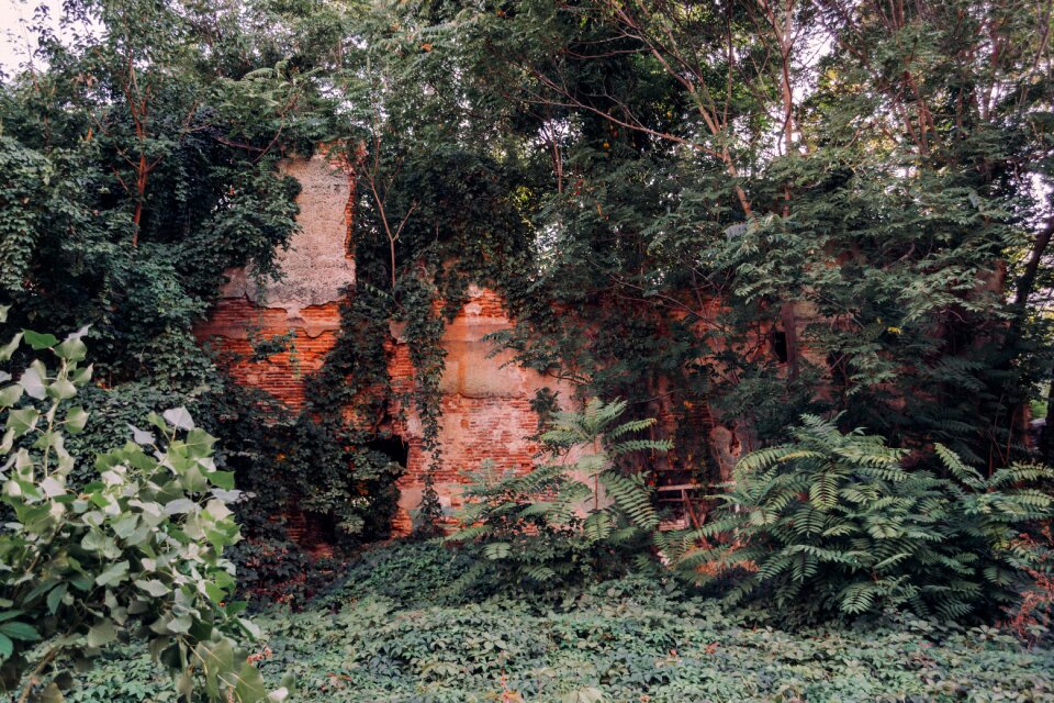 Aged background brick