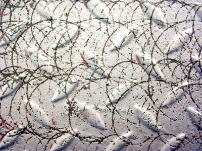 Sheet pattern scratched