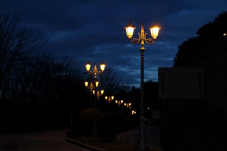 Dark street lights illuminate photo