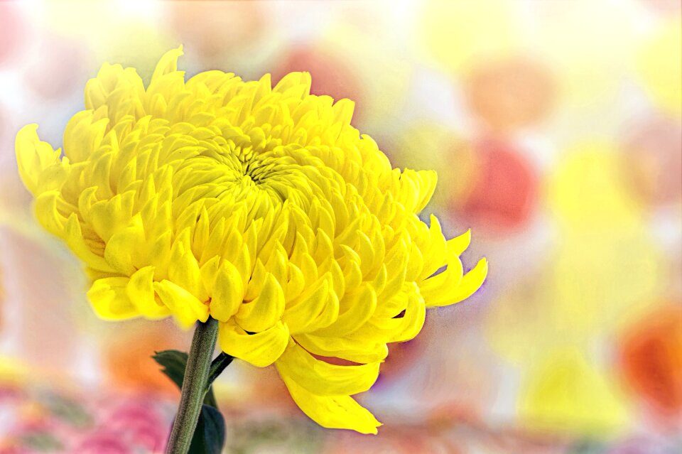 Sunny text space nature