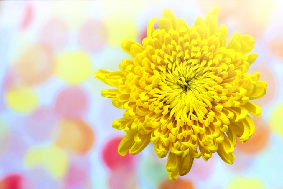 Sunny text space nature