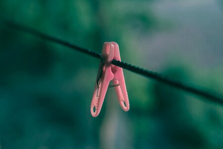Outdoors nature hanging