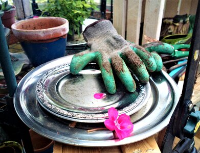 Green fingers gardening pot photo