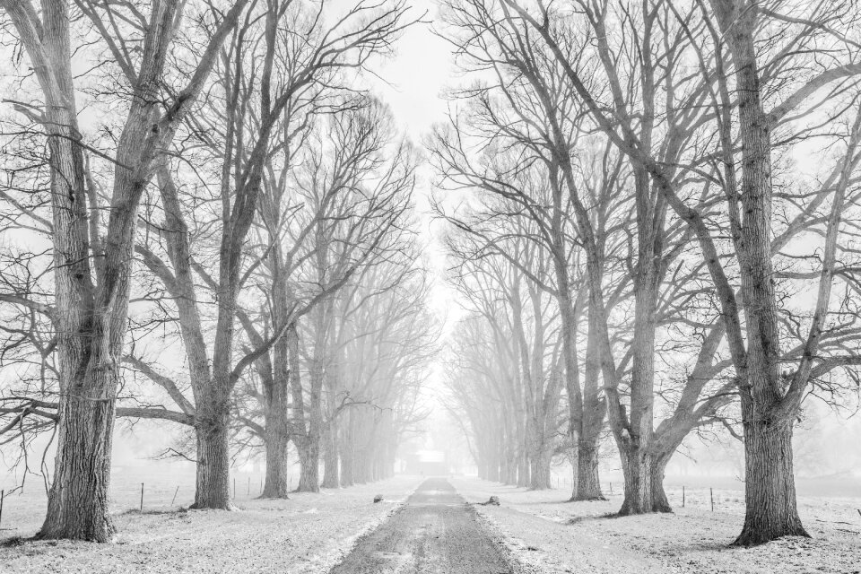 Road path snow