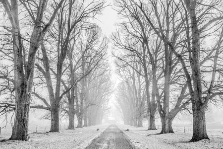 Road path snow