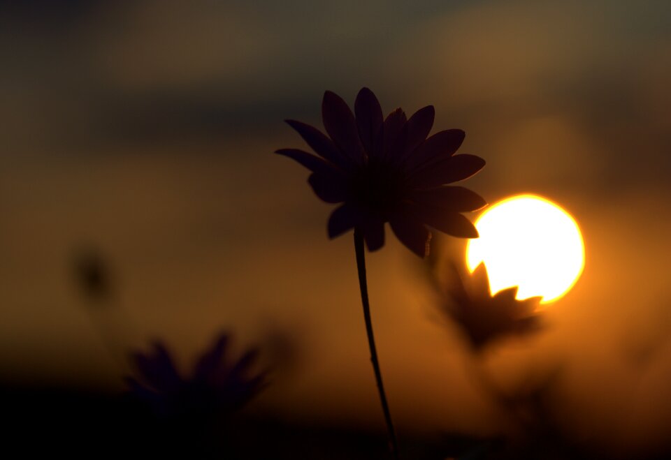 Sunset in the evening nature