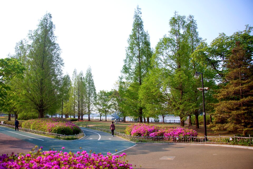 Outdoors lake park ilsan