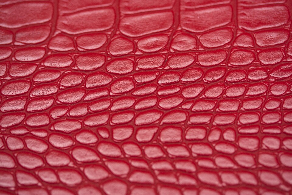 Crocodile snake wallpaper