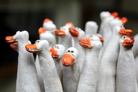 Family outing ducks sculpture photo