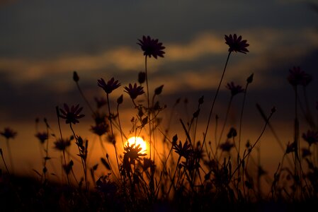 Sunset in the evening nature