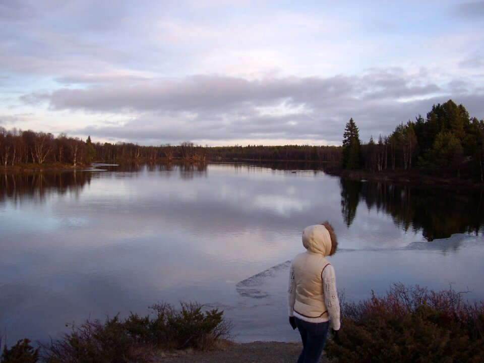 Landscape wetland silence