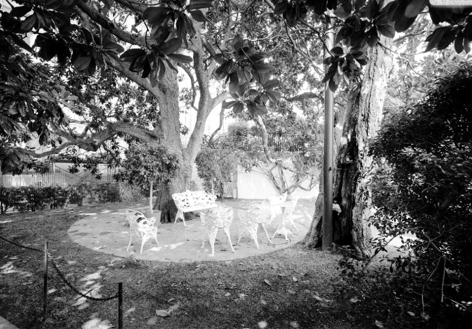 182. South Grounds; View of Seating Area