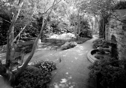 185. South Grounds; View of Terrace looking South