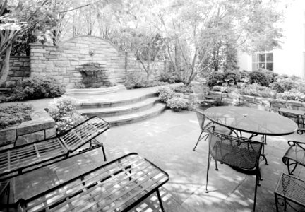 184. South Grounds; View of Terrace