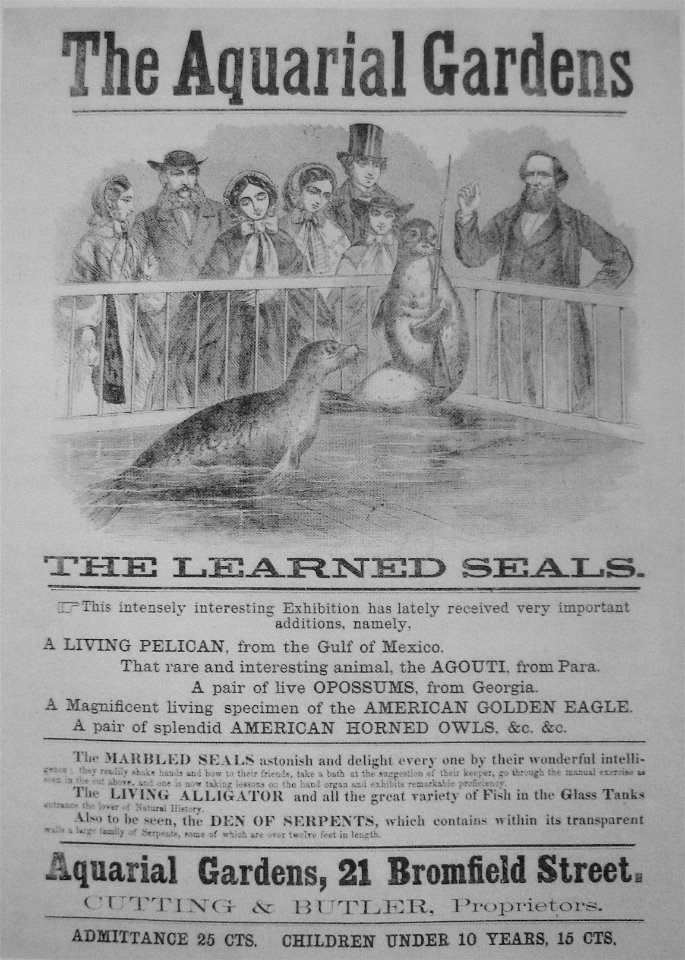 1860 AquarialGardens BromfieldSt Boston