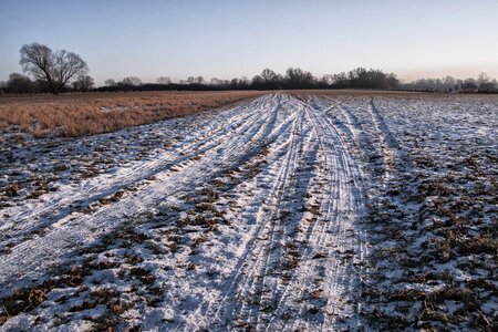 Landscape field arable