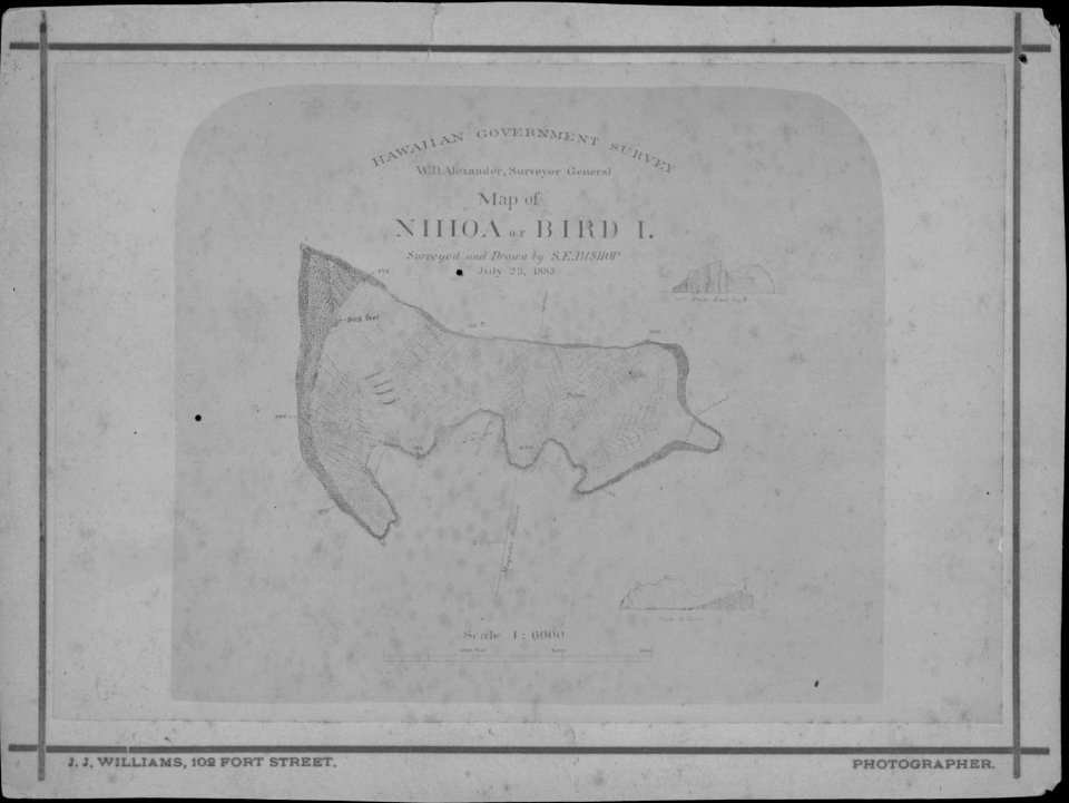 1883 Map of Nihoa or Bird Islands, photograph by J. J. Williams (PP-45-10-005)