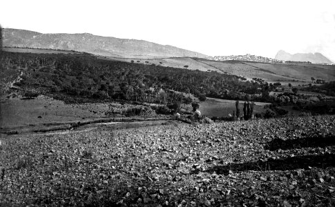 1880s - G. Washington Wilson -The Rock from the Pine Woods near San Roque
