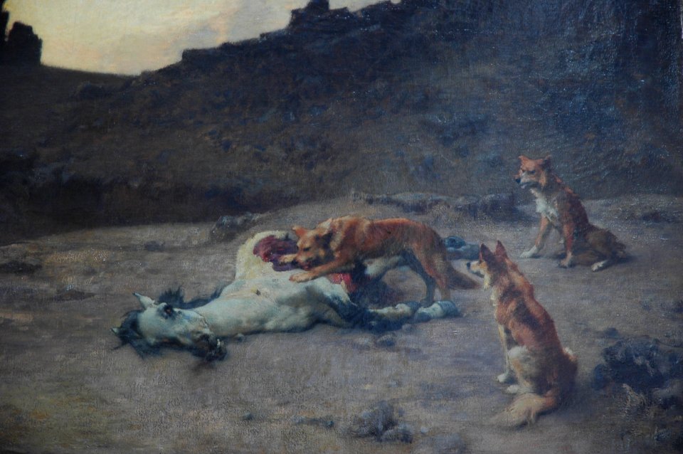 1883 Gustave Guillaumet Chiens dévorant un cheval