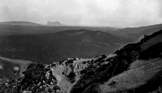 1890s G Washington Wilson - From Corkwoods
