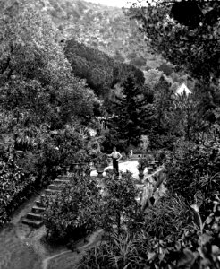 1890s G Washington Wilson Alameda Gardens