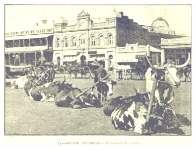 JOBURG (1893) Arcade Buildings photo