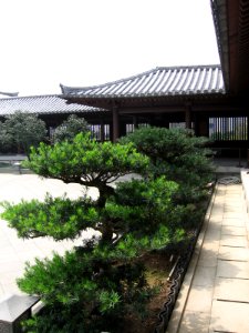 Chi Lin Nunnery 7, Mar 06