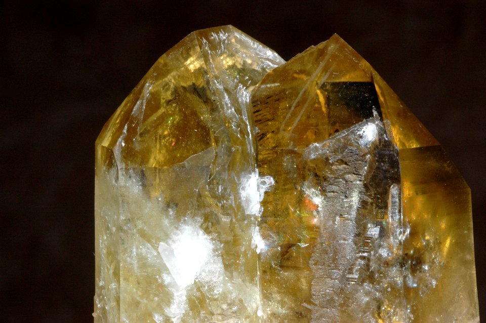 Citrine (Russie)