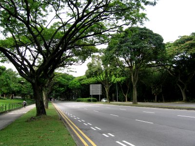 Clementi Road, Dec 06