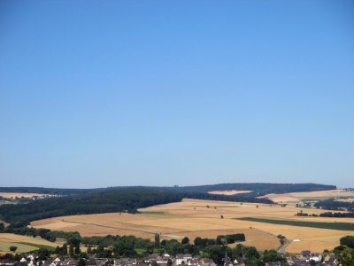 Dachsköpfe im Taunus