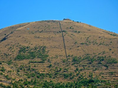 Die Aufforstung des Ali-Bergs