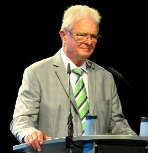 Dietmar Hopp Buerstadt
