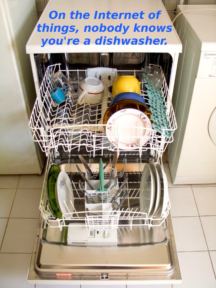 Dishwasher on the Internet