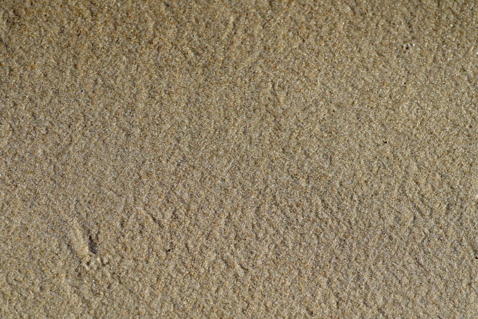 Wet sand beach desert