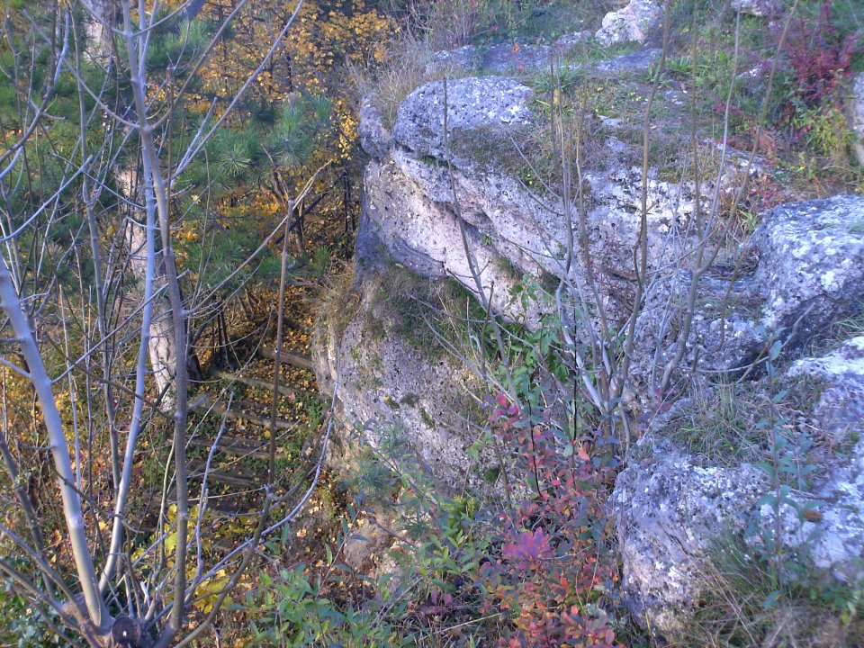 Dunkelstein Felsabbruch W