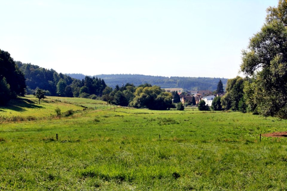 Dörsbachtal bei Laufenselden